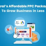 Detral Affordable PPC Packages to Grow Business in Less