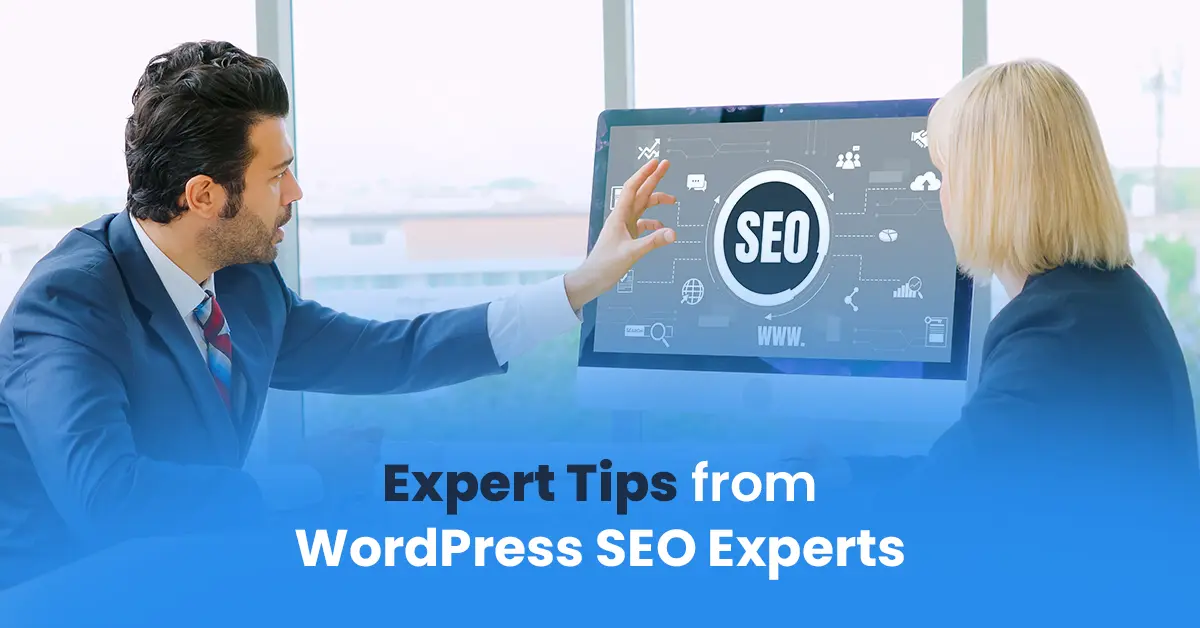 WordPress SEO Experts