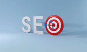 WordPress SEO Consultant
