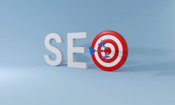 WordPress SEO Consultant